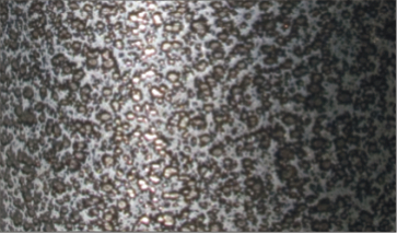 Silver Vein